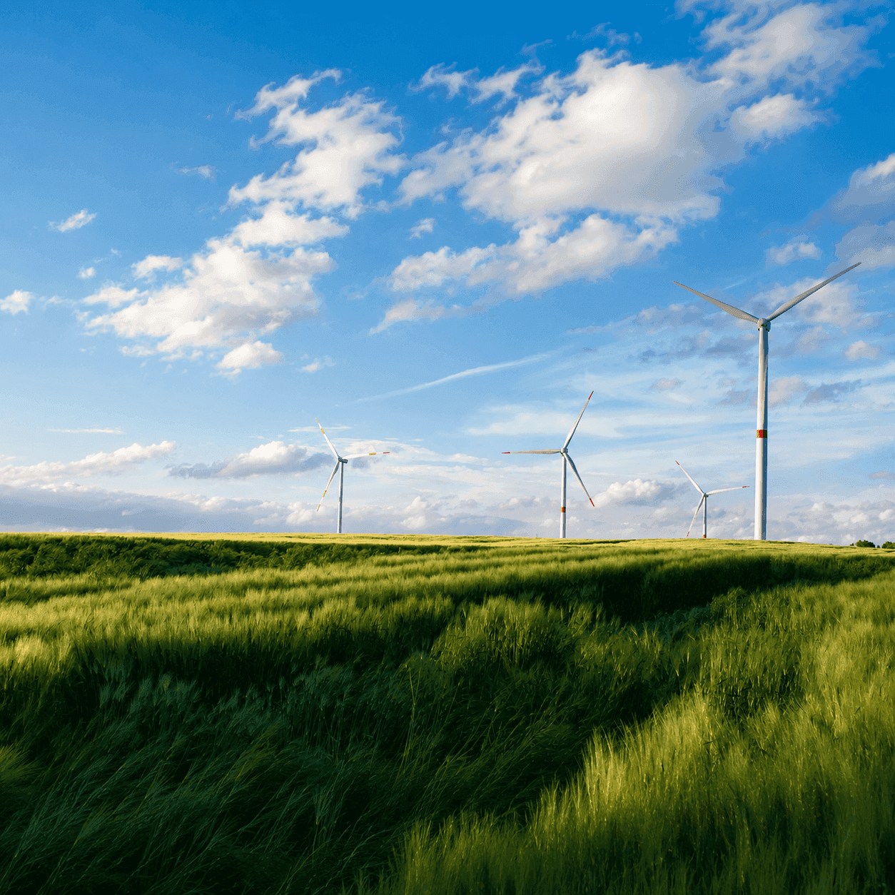 Wind turbines stand tall in a vibrant green crop field under a partly cloudy blue sky.