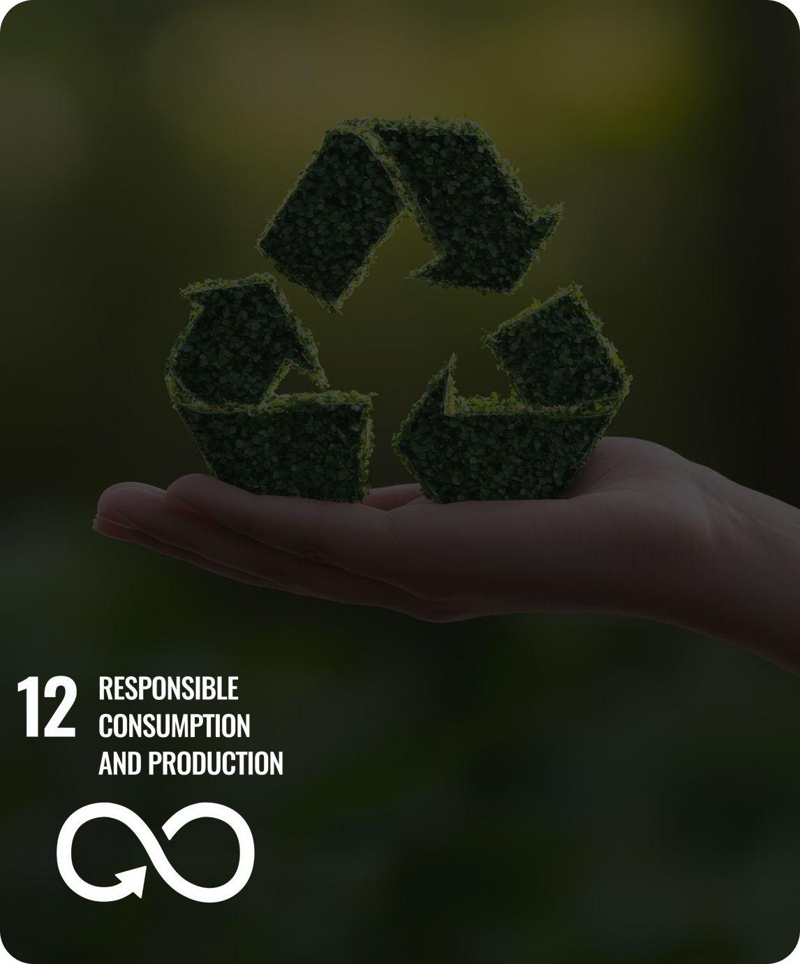 Responsible Consumption